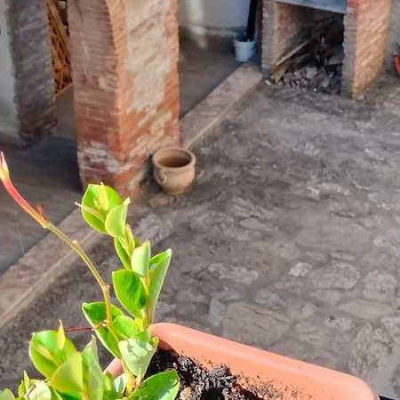 Camugnano Farm *